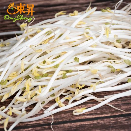 东升农场 有机绿豆芽 250g 商品图3