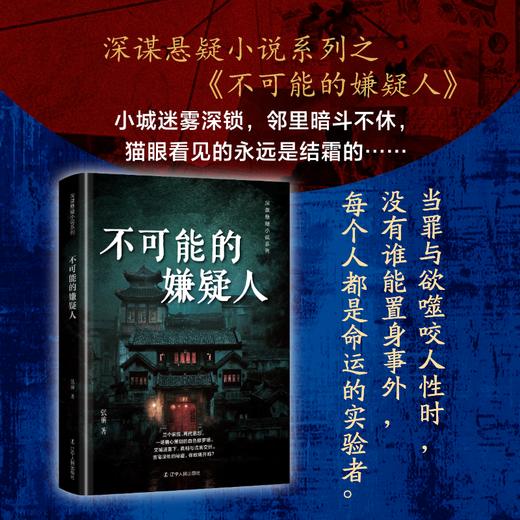 不可能的嫌疑人 商品图0