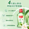 高露洁（Colgate）绿茶+薄荷漱口水500ml*2 无酒精 含氟清新口气去口臭多口味 /个人护理 /口腔护理 /漱口水 商品缩略图5