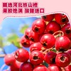 【任选专区】【36月+】益生元山楂糖葫芦95g*1 商品缩略图4