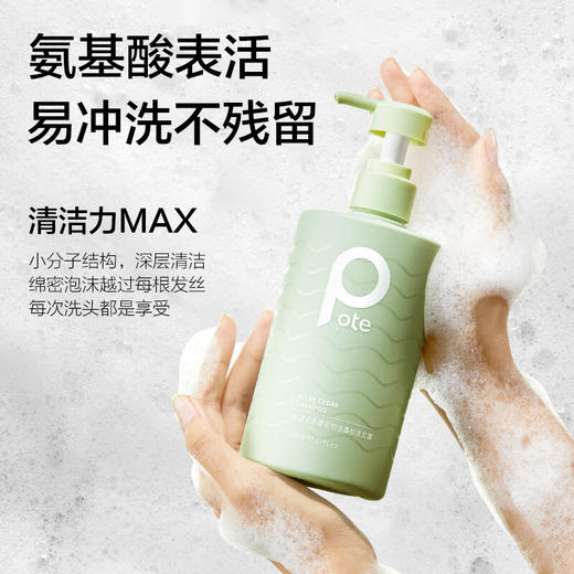 【分仓直发包邮】柏缇北非雪松控油蓬松洗发露505ml 商品图1
