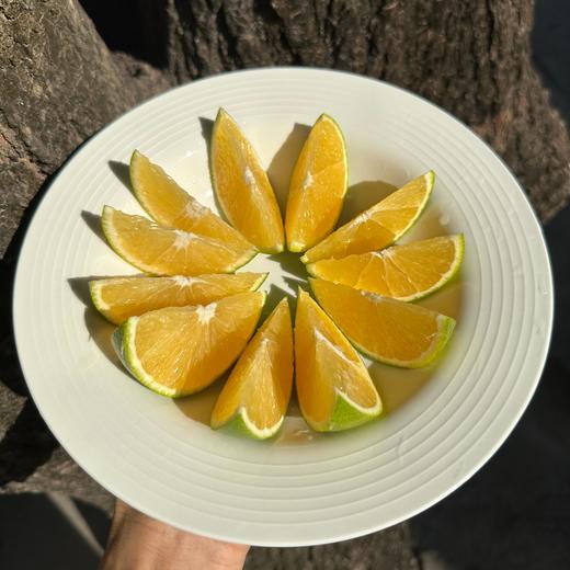 云南锦红冰糖橙 一口爆汁甜过蜜 云南产地直供 锦红冰糖橙   酸甜刚刚好 商品图3