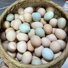 云阳土鸡蛋，农家土鸡蛋，一件50个，125元普通地区包邮 商品缩略图2