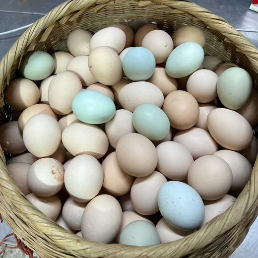 云阳土鸡蛋，农家土鸡蛋，一件50个，125元普通地区包邮 商品图2
