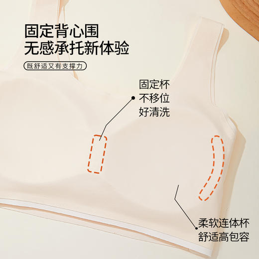 【秋冬款】二，三阶段莫代尔少女背心内衣 8552 舒服法则 商品图4