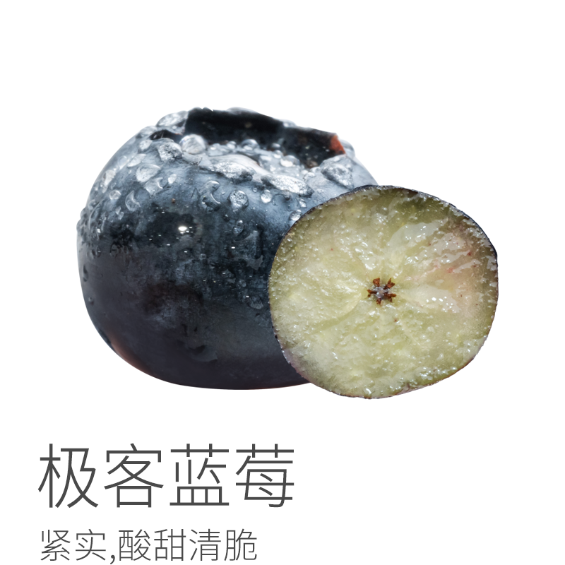 极客蓝莓| 产地云南澄江，有香味口感的蓝莓，果肉紧实，有脆感，带微酸⭐️顺丰空运