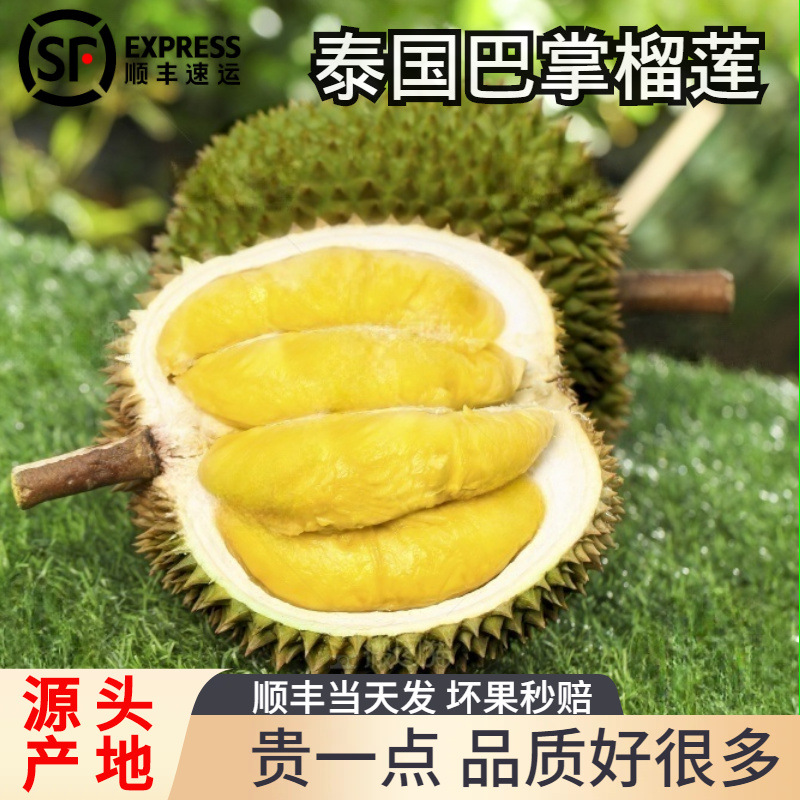 【榴莲中的贵族❗泰国金枕榴莲】冰淇淋般的香甜果肉，奶酪般的顺滑，好吃到爆！自然熟落，黄金果肉软绵糯香，营养丰富，软糯香甜整个鲜果L