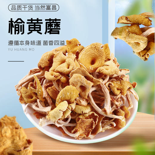 富昌榆黄蘑30g 商品图1
