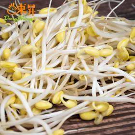 东升农场 有机黄豆芽 250g