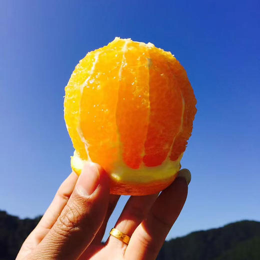 2025江西赣南脐橙 当季时令新鲜应季水果 产地直供 商品图6