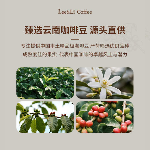 黑咖啡冷萃咖啡原液20条*25ml 0添加 商品图4