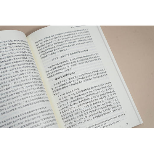 我国数据犯罪的法益重释与体系研究 杨志琼著 法律出版社 商品图1