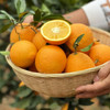 2025江西赣南脐橙 当季时令新鲜应季水果 产地直供 商品缩略图3
