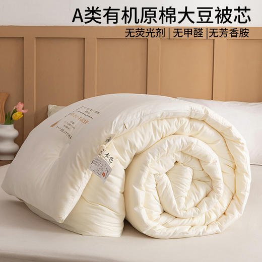 【A类有机原棉大豆被】纯棉原棉大豆纤维被芯提花被子A类民宿四季被秋冬被 商品图0
