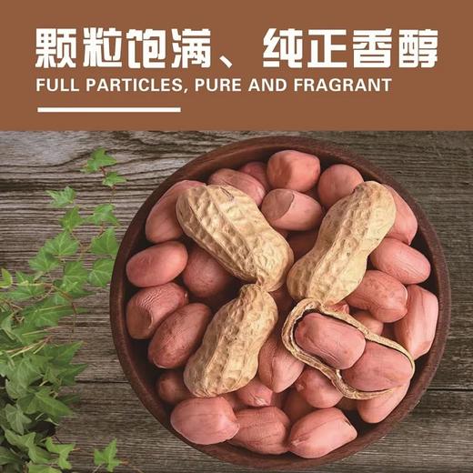 振唐记花生～花生酥-红糖核桃酥-花生块儿 商品图0