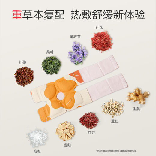 【新品】艾草膝盖贴（6片）Q6208. 商品图13