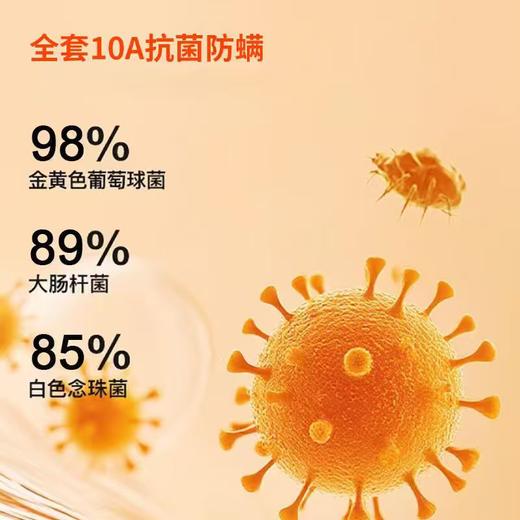 【蕉紫羽绒T恤】 黑白基础款  三防科技  新国标90%白鹅绒 双面鹅绒可机洗 商品图2