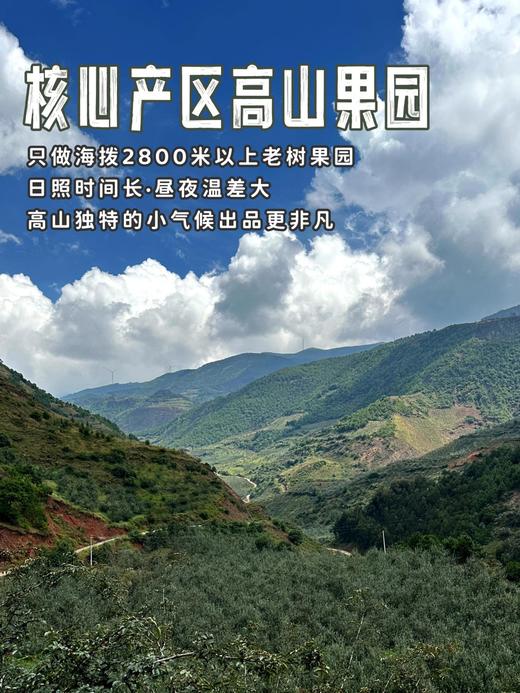 【产地溯源】大凉山盐源丑苹果 果香浓郁 口感丰富 商品图5