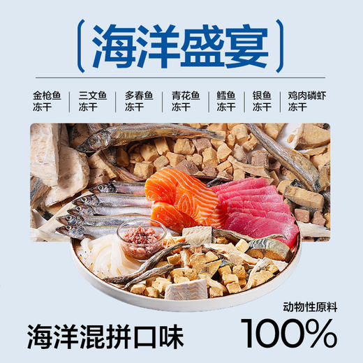 网易天成探索小队冻干桶，三种混搭
 商品图7