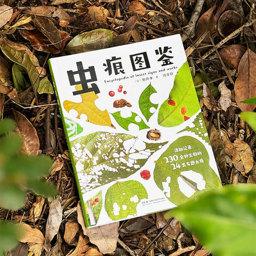 虫痕图鉴   日本知名昆虫学家、昆虫摄影家新开孝新作。自然观察必备手册。认识虫子的有趣痕迹，探索虫子的生活习性 商品图1