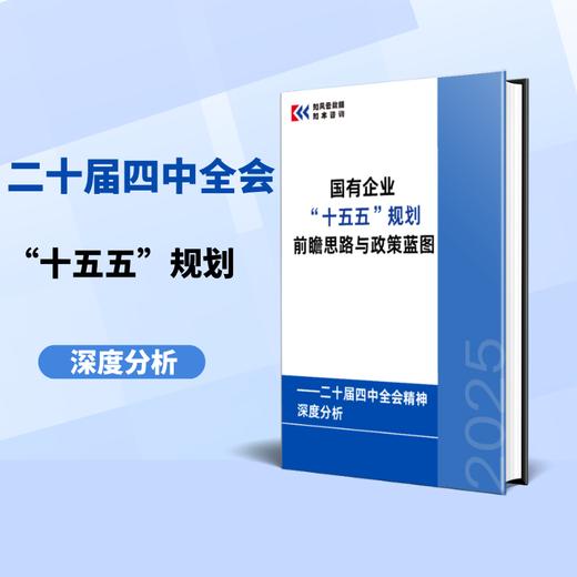 改革微报告 | 国有企业“十五五”规划前瞻思路与政策蓝图研究报告 ——二十届四中全会精神深度分析 商品图0
