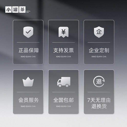 [2色焕新]小罐茶 随行·钛焖杯（铂雅金/乌金黑） 【现货】 商品图7