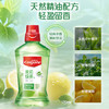 高露洁（Colgate）绿茶+薄荷漱口水500ml*2 无酒精 含氟清新口气去口臭多口味 /个人护理 /口腔护理 /漱口水 商品缩略图4