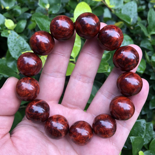 【青山特惠】特价1.8*13颗 5星 多瘤疤 小叶紫檀手串（无胶嫩瘤）t18 商品图0