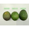 国产哈斯牛油果| 露天自然生长，表皮会有晒伤，干疤，擦伤，介意慎拍！后熟型水果，回家需要催熟食用，成熟后口感绵密顺滑，不要放的过熟，过熟会有轻微黑丝⭐️顺丰快递 商品缩略图2