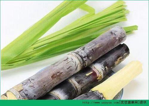 甘蔗9.9元/根 商品图0