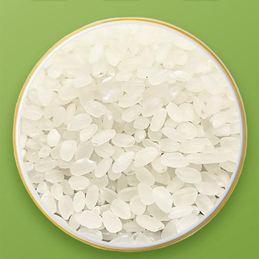 黑龙江蟹田优质大米 粒粒精选米香浓郁450克 商品图1