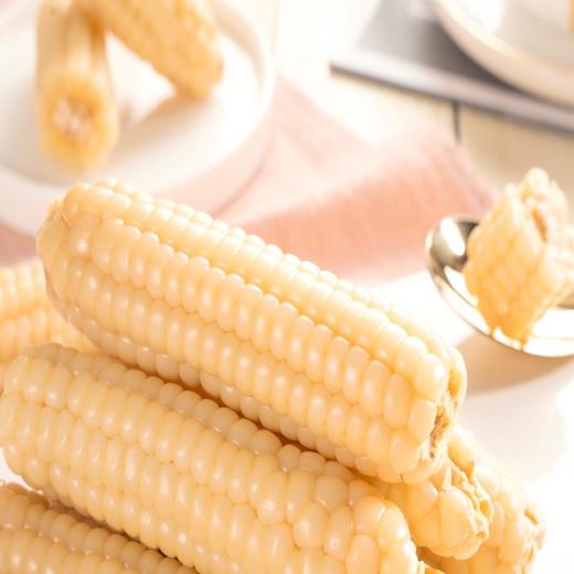 【顺丰产地直发】佳农拇指玉米10包*2根1kg箱 商品图4