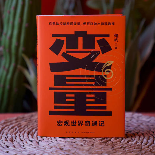 变量6：宏观世界奇遇记(ZYYQ) 商品图0