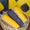 黑金时刻～黄糯黑糯双拼【黄玉米5根 黑玉米5根】 商品缩略图8