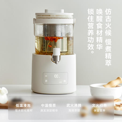 [屁侠推荐]olayks立时璃泉全玻璃养生壶新款煮茶器烧水壶花茶桶 商品图5