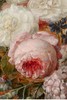 独角鹿西洋古董 18世纪末19世纪初荷兰画家Annette Moritz-Reijerman签名创作静物油画作品《花束》 商品缩略图3