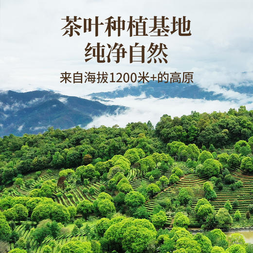 澜沧古茶2025年功夫红茶云南滇红罐装100g 商品图1