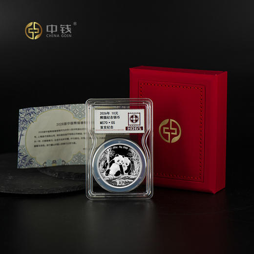 2026年熊猫银币 30克银猫现货 熊猫芯片卡 商品图3