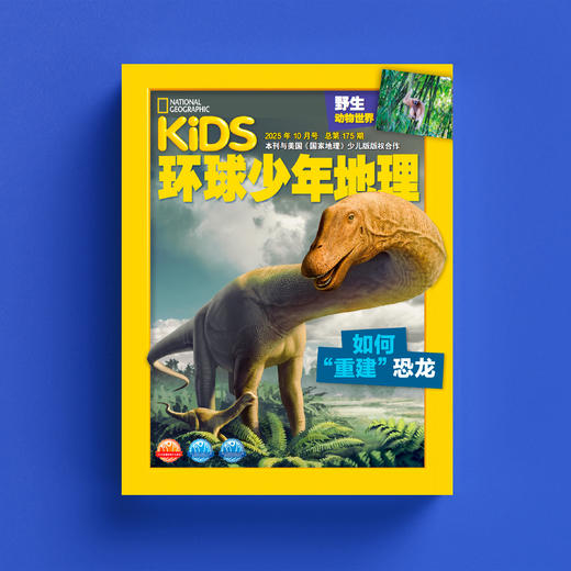 《环球少年地理》（野生动物世界/科学发现）2026年12期（共10本）征订 商品图2