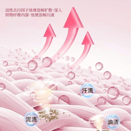 【79.9元任选4件】池露除菌净螨4效合1 大容量浓缩香氛洗衣液 2kg/壶 商品图5