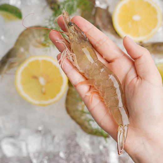 有机带头生虾 商品图5