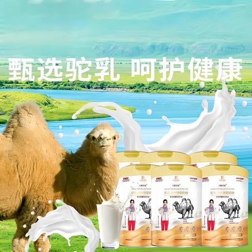 【GJ链接请勿用!!!】【天赋圣驼初乳配方骆驼奶粉】甄选新疆奶源，珍贵驼初乳，香浓营养，全家人的能量补给！（预计15号发货） 商品图0