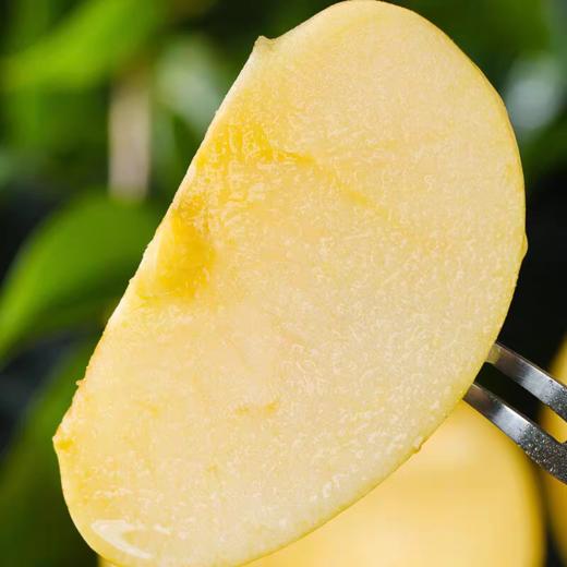 严选 | 山东威海黄金维纳斯苹果  金黄诱人 香味浓郁 海藻肥浇灌 霜降后采摘 皮薄核小 口味几乎纯甜 商品图2