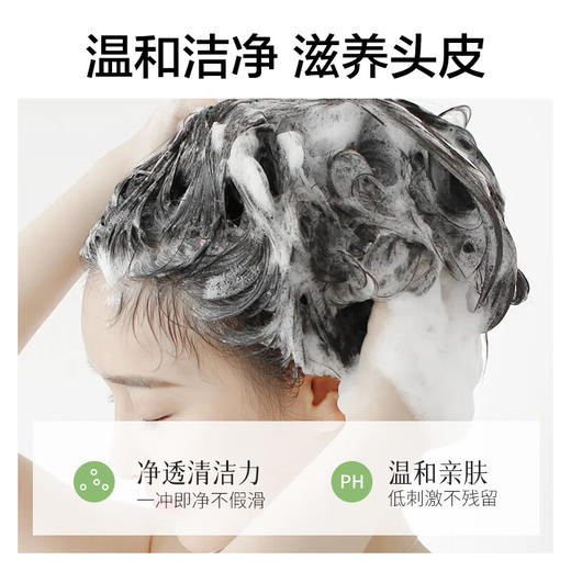 【分仓直发包邮】柏缇北非雪松控油蓬松洗发露505ml 商品图6