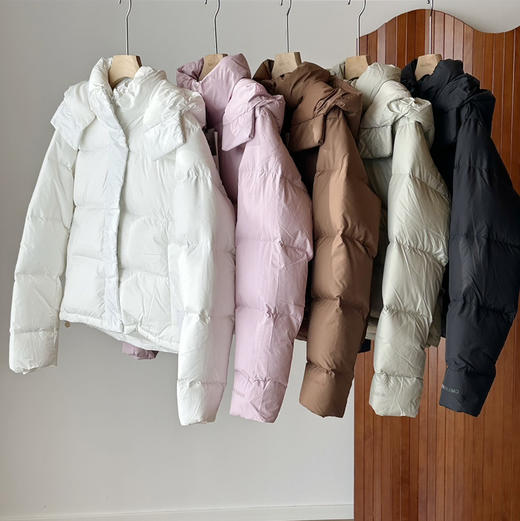 lu四格鹅绒羽绒服 商品图0