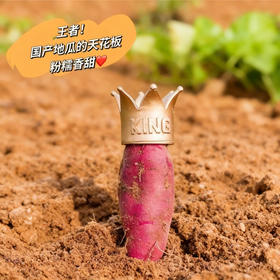 热卖中！！辽宁黑山哈密冰糖薯