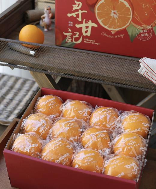 【精品水果顺丰京东发货】寻甘记•赣南脐橙🍊（来自高山果园，复硒红土壤种植种植）国家地理标志性农产品，赣南脐橙400米核心产区，富硒红土壤，成就一颗好橙 商品图7