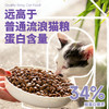 喵铮铮简爱流浪猫粮 流浪猫猫粮全价猫咪宠物幼猫主食营养肠胃主粮 34%蛋白复原肠胃添加黄芪鲜鸡肉【该商品不参与满赠】 商品缩略图3