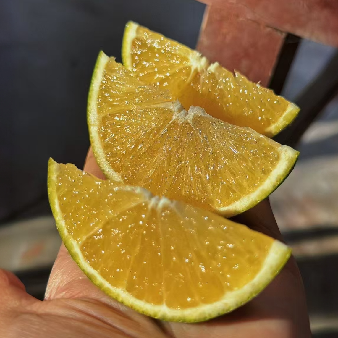 云南锦红冰糖橙 一口爆汁甜过蜜 云南产地直供 锦红冰糖橙   酸甜刚刚好