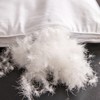 绝了！太暖和，轻如云朵！【西伯利亚进口白鹅绒】恒源祥 高端静音鹅绒被 精选腹部大朵绒 立体填充 被面静音 1件充绒量相当于8件羽绒服 抵御西伯利亚的严寒（单被子，送礼袋） 商品缩略图6